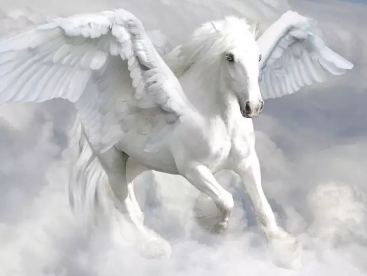 Pegasus Tattoo: il valore dei tatuaggi per uomini e ragazze, schizzi di un cavallo sotto forma di cavallo con le ali sulla schiena e in altre aree 14193_7