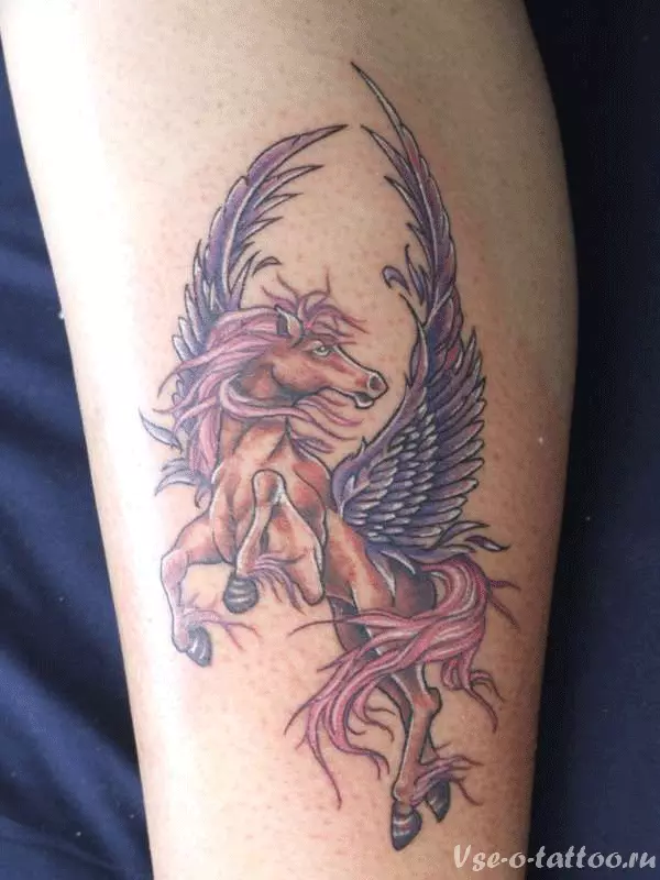 Pegasus Татуировка: стойността на татуировки за мъже и момчета, скици на кон във формата на кон с крила на гърба и в други области 14193_8