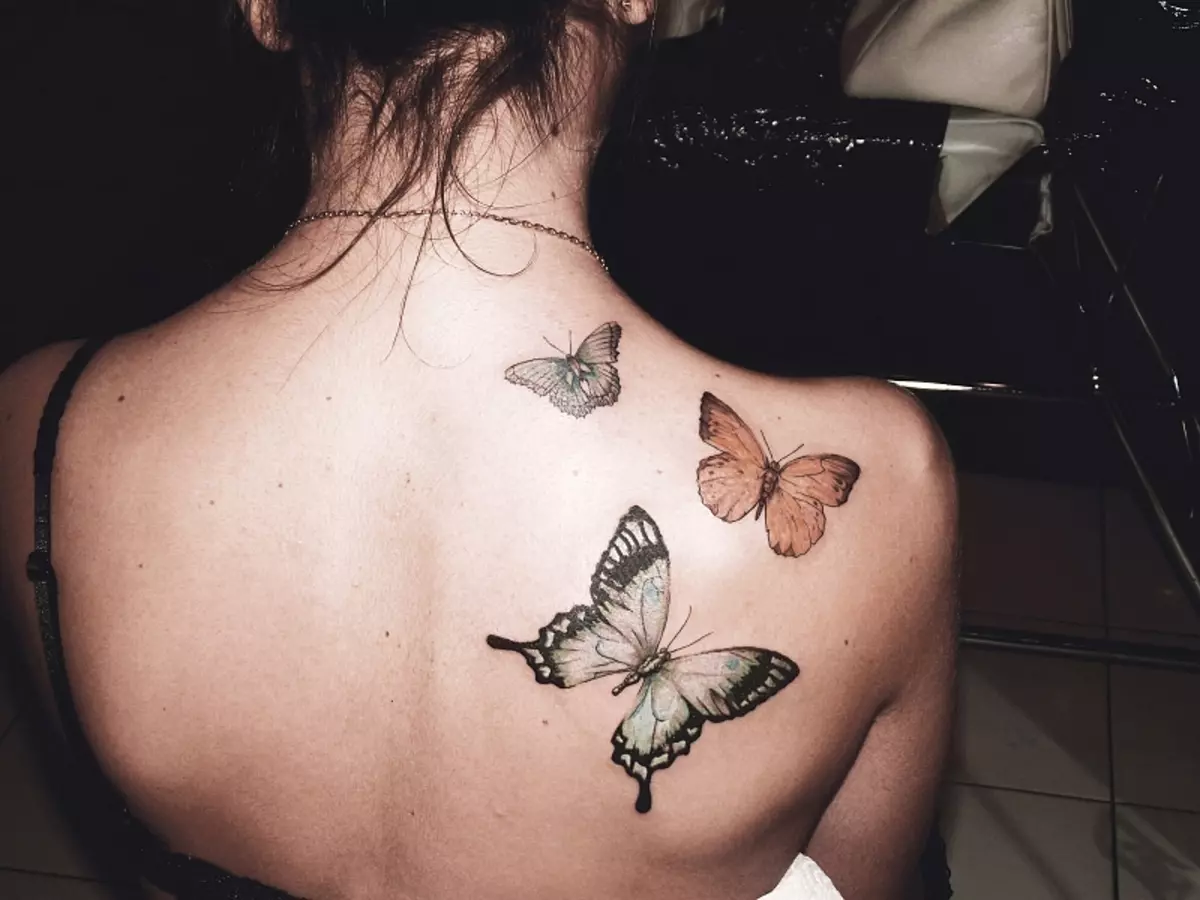 Tattoo met vlinders voor meisjes (56 foto's): de waarde van tatoeages op de hand en op de pols, op de onderrug en op de nek, op het been en op de maag, op de rug en in andere gebieden, schetsen 14214_43