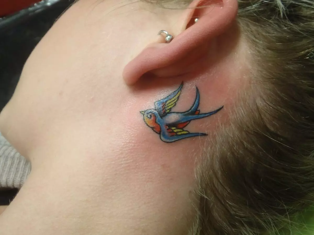 EAR TATTOO (58 foto's): tatoeages voor mannen en voor vrouwen, kleine sterren en slangen, vogels en twijgen, sterretjes en Phoenix, andere opties en voorbeelden van schetsen 14236_48
