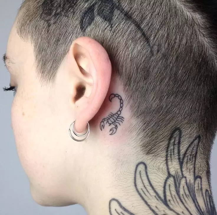 Ear tatovering (58 bilder): Tatoveringer for menn og for kvinner, små stjerner og slanger, fugler og kvister, stjerner og Phoenix, andre alternativer og eksempler på skisser 14236_7