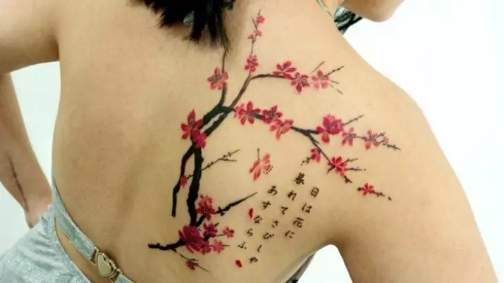 女孩的纹身“樱花”：女性樱花分公司的价值。纹身在手上和锁骨，大腿和后面，在其他领域，草图 14242_10