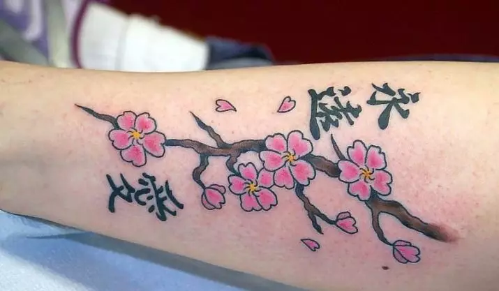 女孩的纹身“樱花”：女性樱花分公司的价值。纹身在手上和锁骨，大腿和后面，在其他领域，草图 14242_16