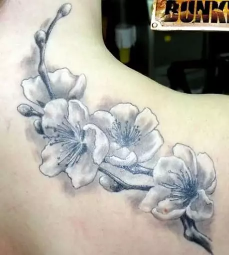 女孩的纹身“樱花”：女性樱花分公司的价值。纹身在手上和锁骨，大腿和后面，在其他领域，草图 14242_17