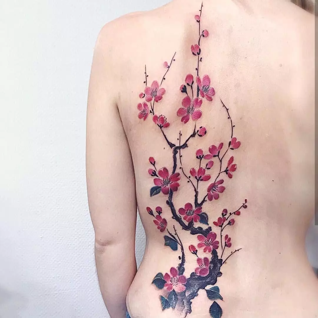 女孩的纹身“樱花”：女性樱花分公司的价值。纹身在手上和锁骨，大腿和后面，在其他领域，草图 14242_2