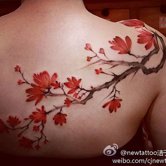 女孩的纹身“樱花”：女性樱花分公司的价值。纹身在手上和锁骨，大腿和后面，在其他领域，草图 14242_22