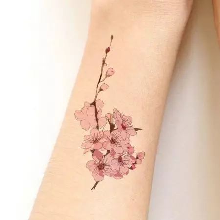 女孩的纹身“樱花”：女性樱花分公司的价值。纹身在手上和锁骨，大腿和后面，在其他领域，草图 14242_25