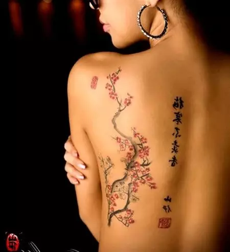 女孩的纹身“樱花”：女性樱花分公司的价值。纹身在手上和锁骨，大腿和后面，在其他领域，草图 14242_26