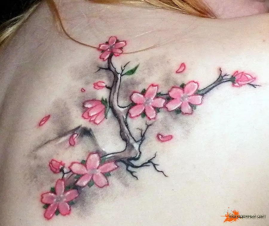 女孩的纹身“樱花”：女性樱花分公司的价值。纹身在手上和锁骨，大腿和后面，在其他领域，草图 14242_8