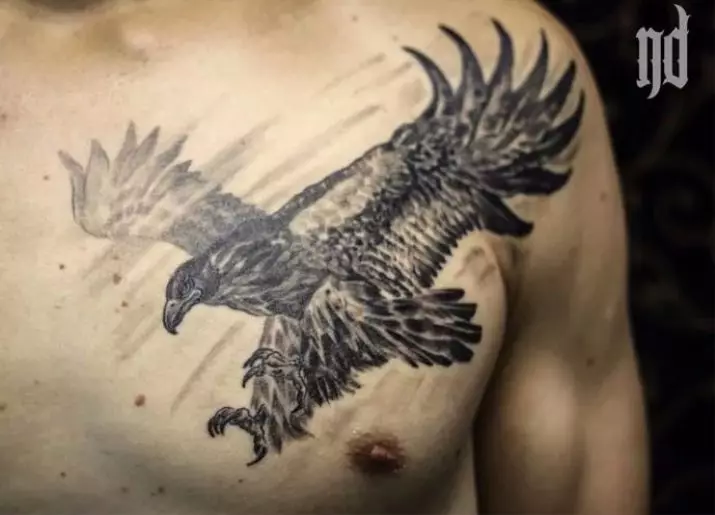 Tattoo med Falcon: Skisser og verdi av tatoveringer, tatovering på skulderen og på hånden, på baksiden og brystet, på nakken og i andre områder av menn og jenter 14252_13