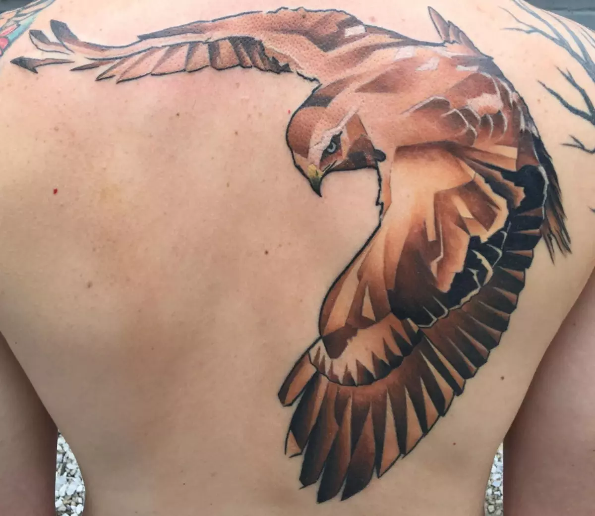Tattoo med Falcon: Skisser og verdi av tatoveringer, tatovering på skulderen og på hånden, på baksiden og brystet, på nakken og i andre områder av menn og jenter 14252_17