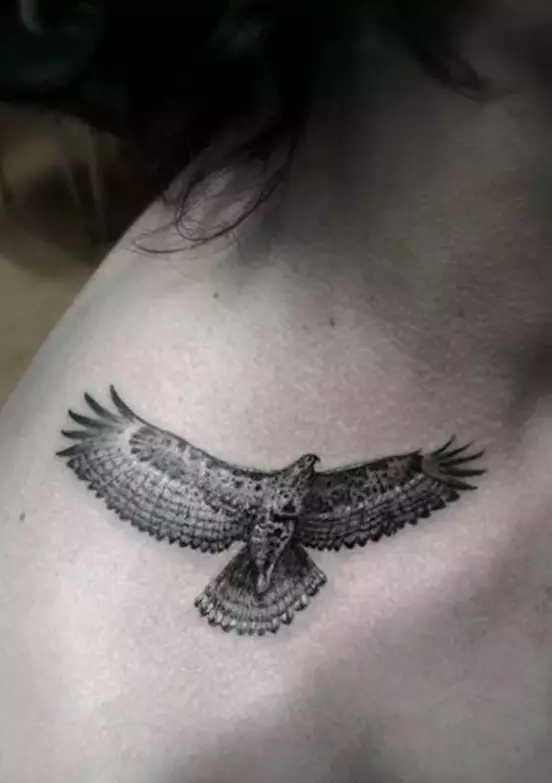 Tattoo med Falcon: Skisser og verdi av tatoveringer, tatovering på skulderen og på hånden, på baksiden og brystet, på nakken og i andre områder av menn og jenter 14252_18