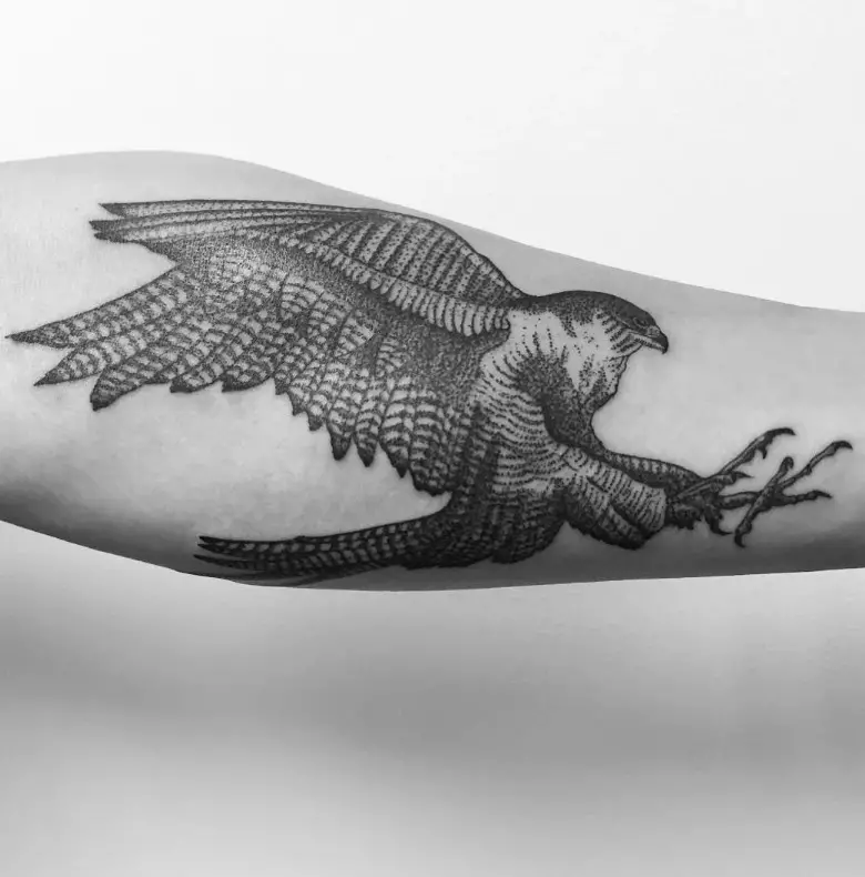 Τατουάζ με γεράκι: σκίτσα και αξία τατουάζ, τατουάζ στον ώμο και στο χέρι, στην πλάτη και στο στήθος, στο λαιμό και σε άλλες περιοχές ανδρών και κοριτσιών 14252_2