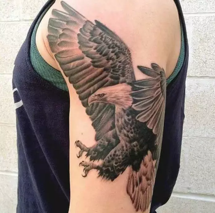 Tattoo med Falcon: Skisser og verdi av tatoveringer, tatovering på skulderen og på hånden, på baksiden og brystet, på nakken og i andre områder av menn og jenter 14252_4
