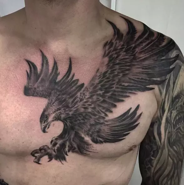 Tattoo med Falcon: Skisser og verdi av tatoveringer, tatovering på skulderen og på hånden, på baksiden og brystet, på nakken og i andre områder av menn og jenter 14252_6