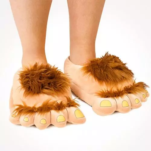 Binnen Slippers (88 foto's): Damesblauwe en swarte modellen foar thús, nijjier en foar gasten, cool fan Fuzzy Friends 14262_53