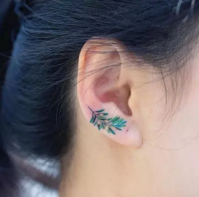 Tatuazh i përkthyer (45 foto): Si të ngjitni tatuazhet e përkohshme në trup? Tattooo-freckles në fytyrë dhe tatuazh të tjera që mbajnë për një kohë të gjatë 14269_39