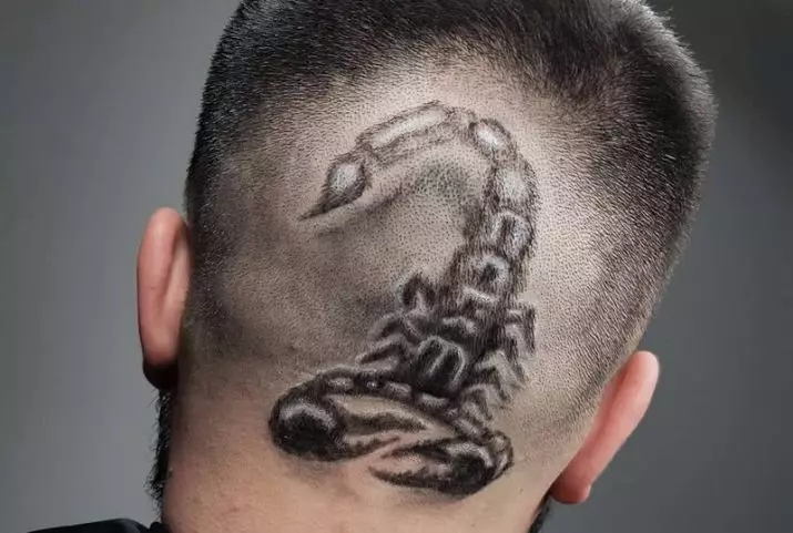 Hair tattoo (87 фото): ідеї для хлопчиків, дівчат і чоловіків. Блискавка на волоссі і павутина, інші варіанти дитячих і дорослих стрижок 14270_75