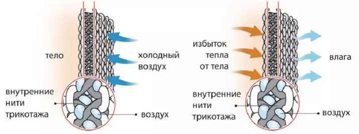 Leomax termiskais apakšveļa: apakšveļa 