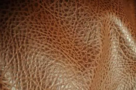 Abrigo femininos feitos de coiro xenuíno (86 fotos): Python, crocodilo, bisonte, año, cobra, coiro perforado, suave e espesa, a pel combinados 14395_23