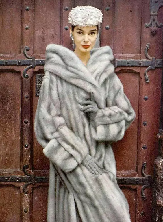 來自Mink Pare的皮大衣（70張照片）：評論Mink Coat Pare是否成本 14423_25