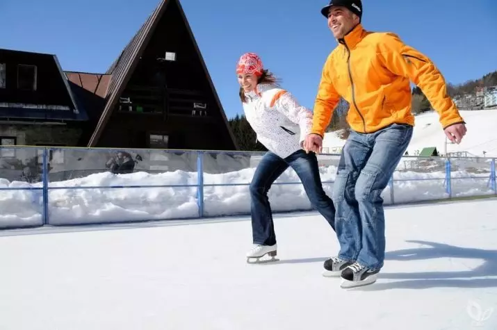 Calcetines para los patines (23 fotos): tipos de hockey sobre patines y rizado 1458_2