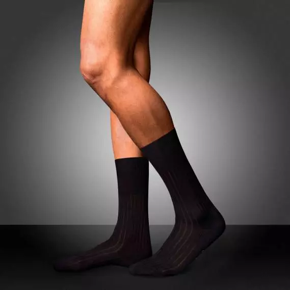 Falke čarape (25 fotografija): Značajke i prednosti Falka modela, kvalitetne recenzije 1463_13