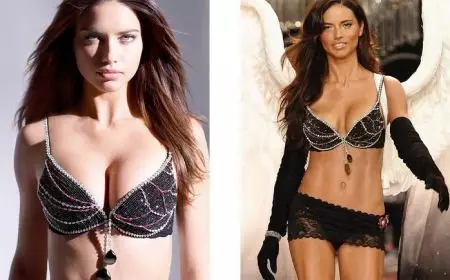 Belas Bras (55 fotos): Os mais belos sutiãs femininos do mundo 14901_45