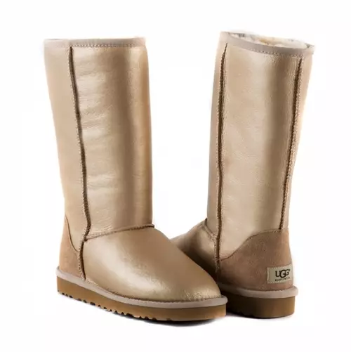 জলরোধী uggs (23 ছবি): কি সঙ্গে পরতে হবে 15089_23