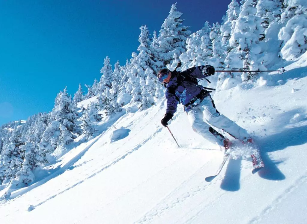 Tecnica Ski Boots（29张照片）：儿童和女式山地滑雪空气滑雪空气壳，凤凰城，龙从电器 15109_4