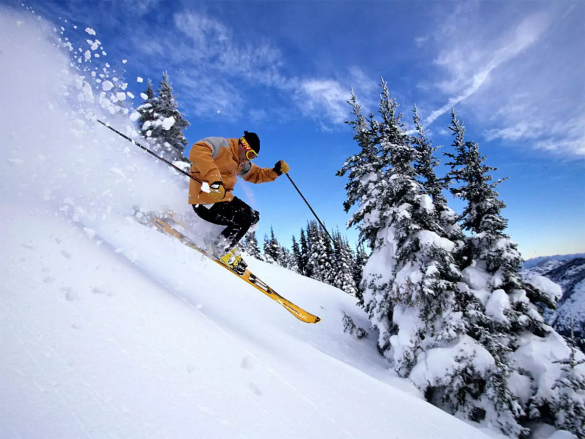 Spine Seput Ski (69 Foto): Ulasan babagan merek 