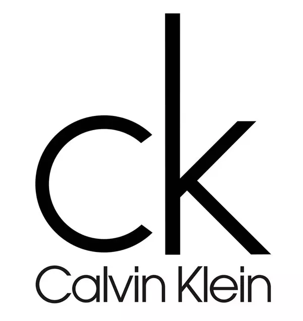 Calvin Klein Portafoglio (32 immagini): Modelli portafogli da donna 15141_3