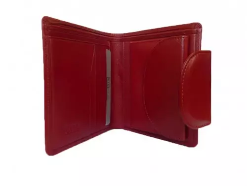 Petek钱包（55张照片）：女式皮革粉红色和其他彩色钱包，来自PETCOP公司 15147_24