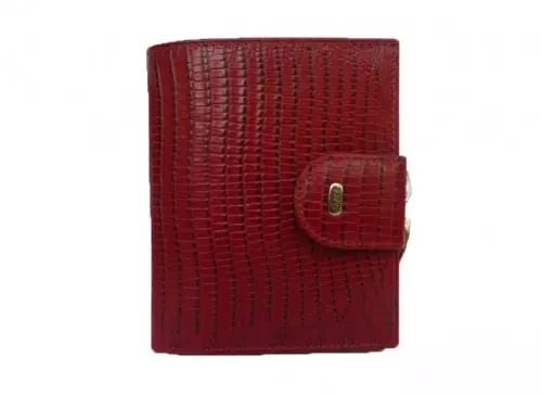 Petek钱包（55张照片）：女式皮革粉红色和其他彩色钱包，来自PETCOP公司 15147_55