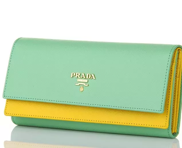PRADA Wallet (34 снимки): Преглед на жените модели от известната марка Prada 15150_16