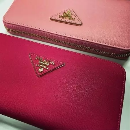 Prada Wallet (34 תמונות): סקירה של מודלים של נשים מן המותג המפורסם פראדה 15150_3