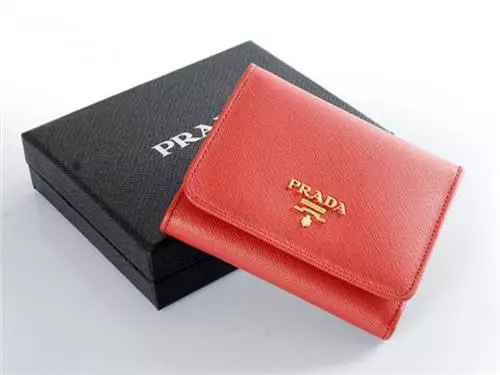 PRADA Wallet (34 снимки): Преглед на жените модели от известната марка Prada 15150_7