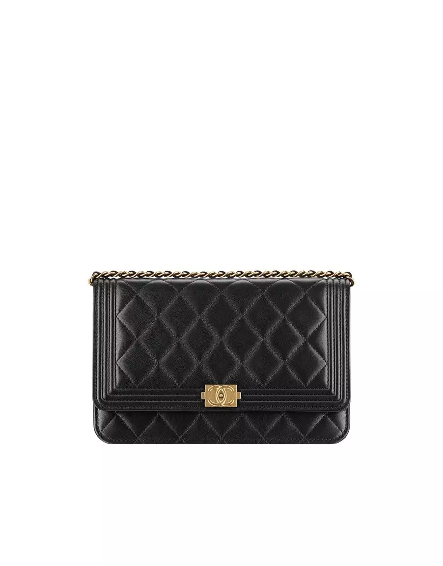 Wallet Chanel (ဓာတ်ပုံ 35 ခု) - အမျိုးသမီးပိုက်ဆံအိတ်နှင့်သားရေအမှတ်တံဆိပ်မော်ဒယ်များ 15156_18