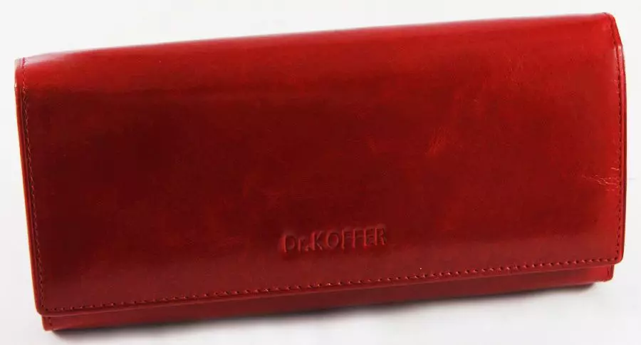 Իգական կաշվե դրամապանակ (123 լուսանկարներ) Մոդելը բնական կաշի, կոկորդիլոս, քսակը վրա կայծակաճարմանդ 15165_98