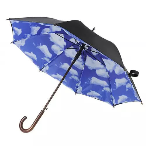 Umbrele durabile (68 fotografii): modele de înaltă calitate, tipuri de umbrele de înaltă calitate și fiabile 15212_13