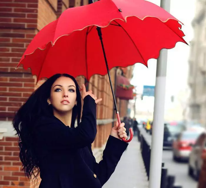Umbrele durabile (68 fotografii): modele de înaltă calitate, tipuri de umbrele de înaltă calitate și fiabile 15212_34