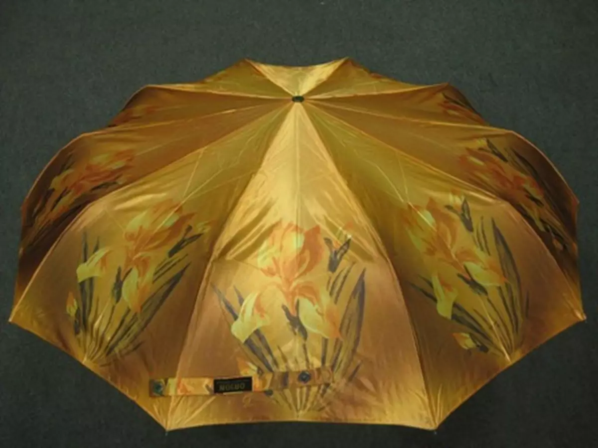 Umbrele durabile (68 fotografii): modele de înaltă calitate, tipuri de umbrele de înaltă calitate și fiabile 15212_61