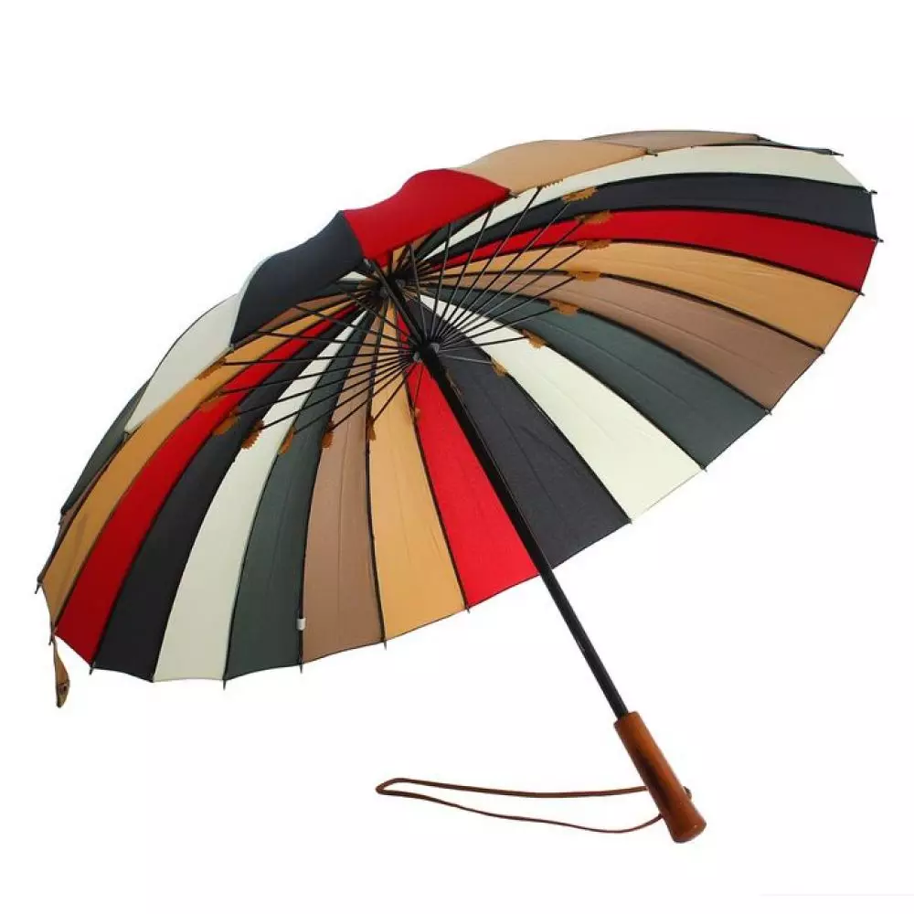 Umbrele durabile (68 fotografii): modele de înaltă calitate, tipuri de umbrele de înaltă calitate și fiabile 15212_68