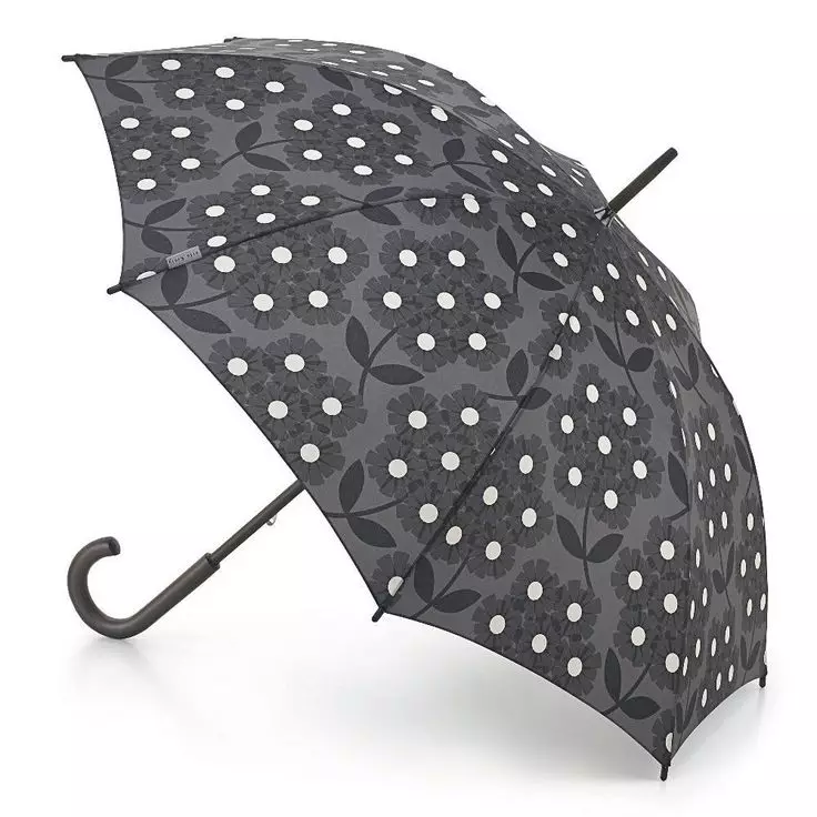 Černý deštník (47 fotek): Dámské třtiny 15217_11