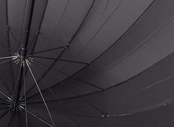 Černý deštník (47 fotek): Dámské třtiny 15217_30