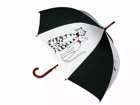 Černý deštník (47 fotek): Dámské třtiny 15217_9