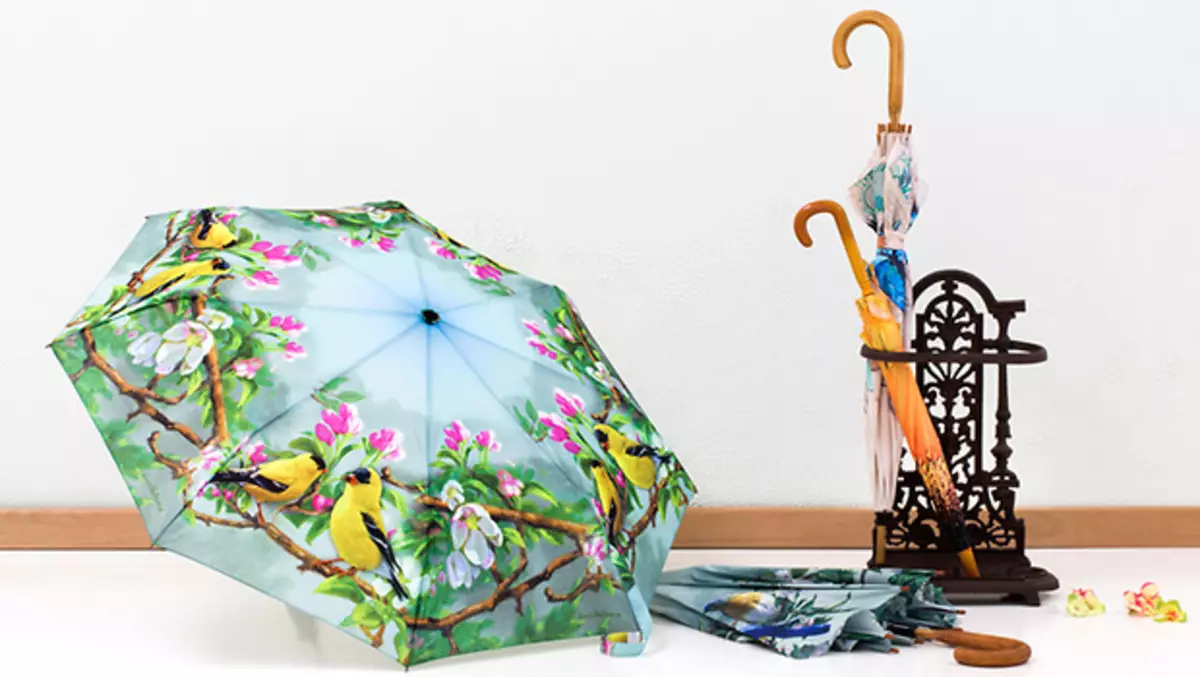 여성 우산 - 지팡이 (65 장의 사진) : 나무 손잡이가있는 모델 15220_45