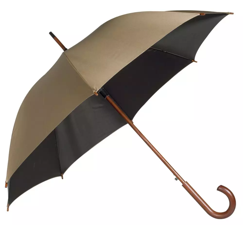 여성 우산 - 지팡이 (65 장의 사진) : 나무 손잡이가있는 모델 15220_63