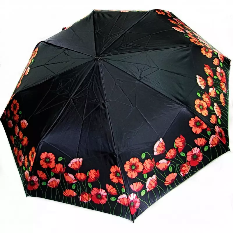 Doppler Umbrellas（60张照片）：女性型号甘蔗和折叠，多普勒评论 15227_21