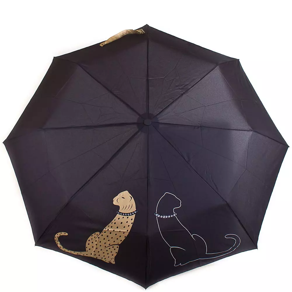 Dopplerové deštníky (60 fotografií): ženské modely třtiny a skládací, Doppler 15227_27